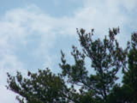 100_2807.jpg